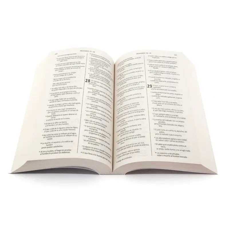 Biblia - Palabra de Dios - Emaús