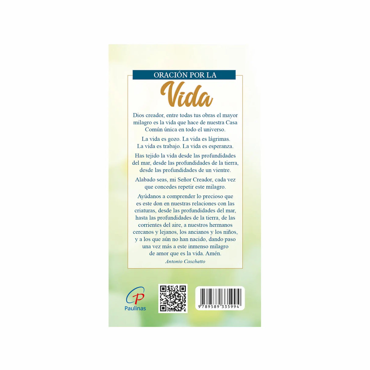 Planeador La Naturaleza fuente de vida - Tortuga 2026