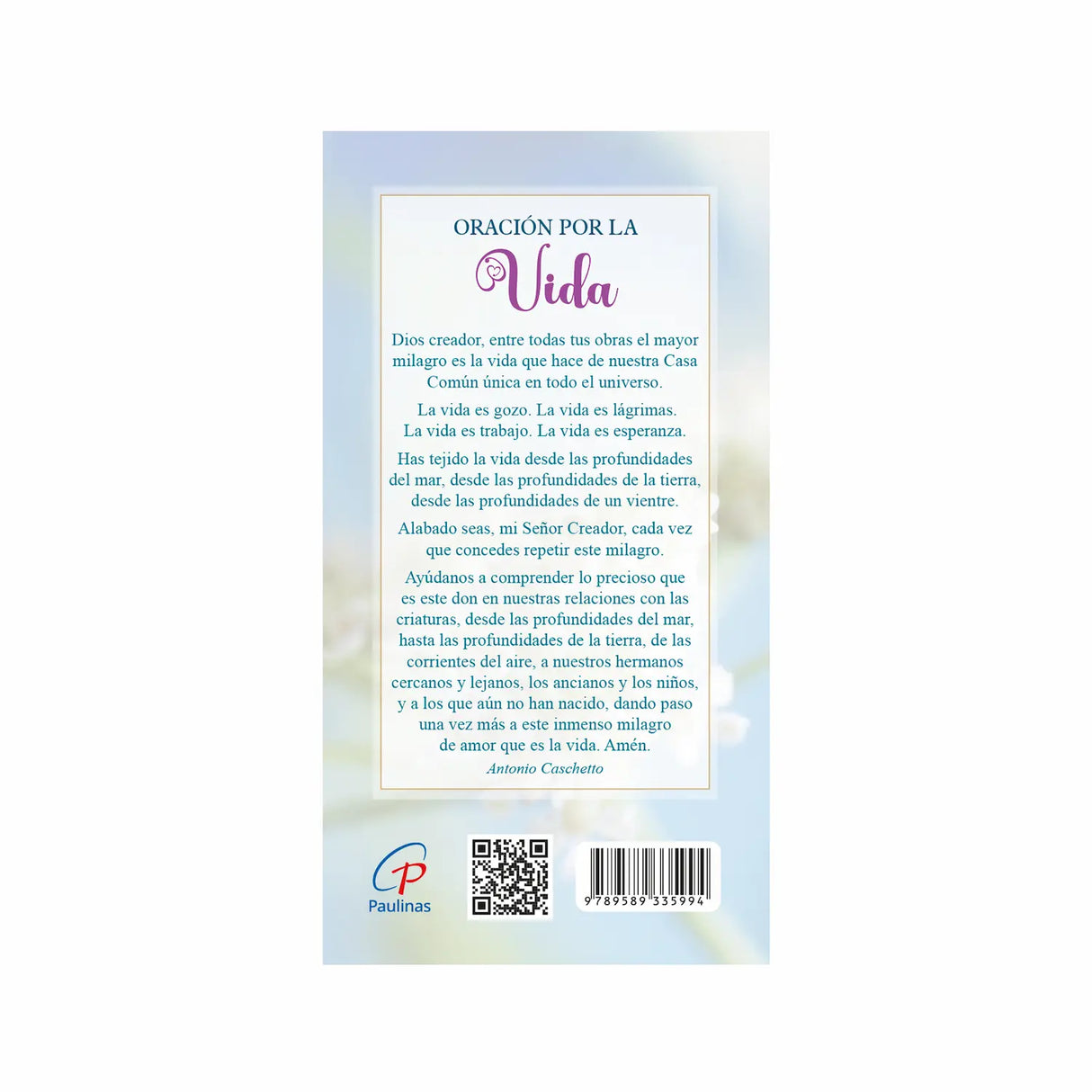 Gliders Yes to peace, yes to life 2024 - Baby