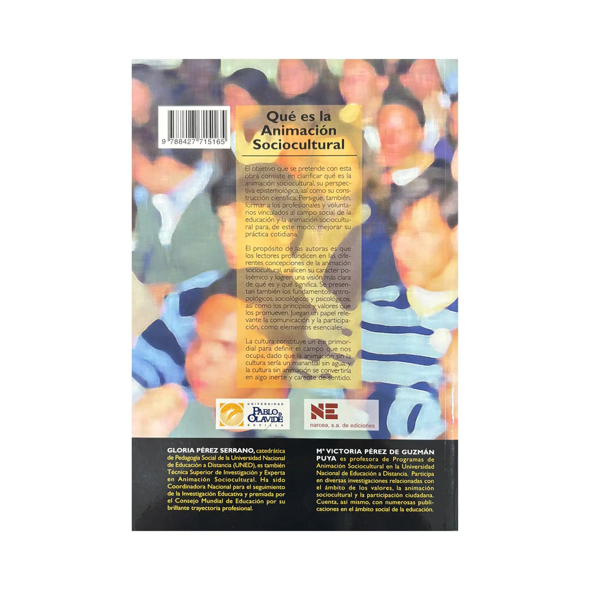 What is Sociocultural Animation