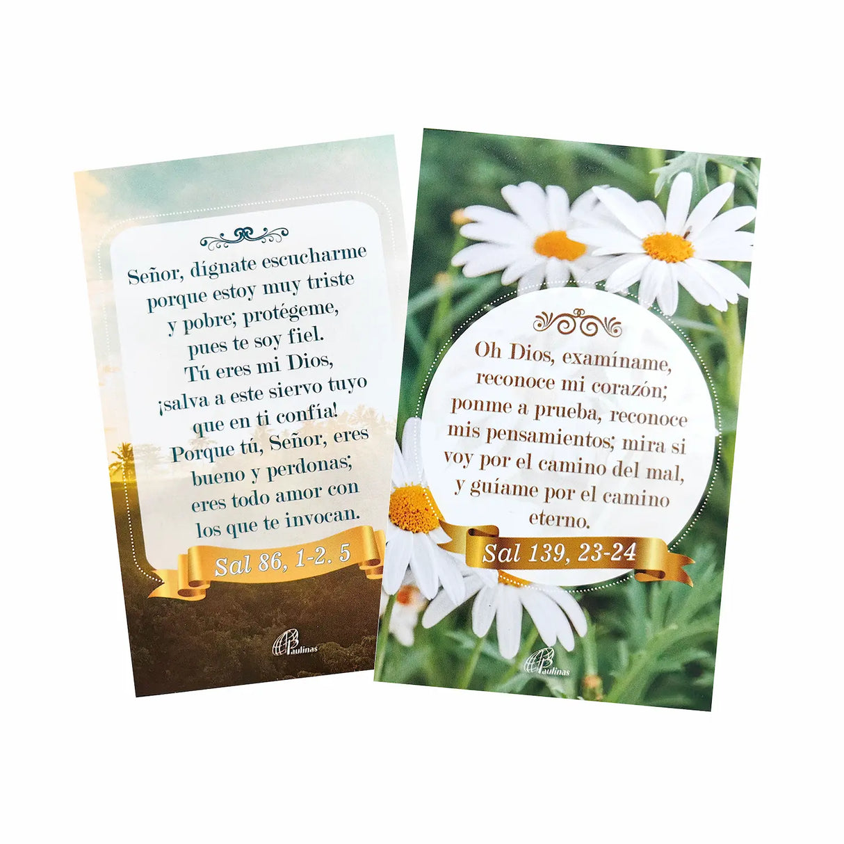 Cards - psalm dividers kit x12