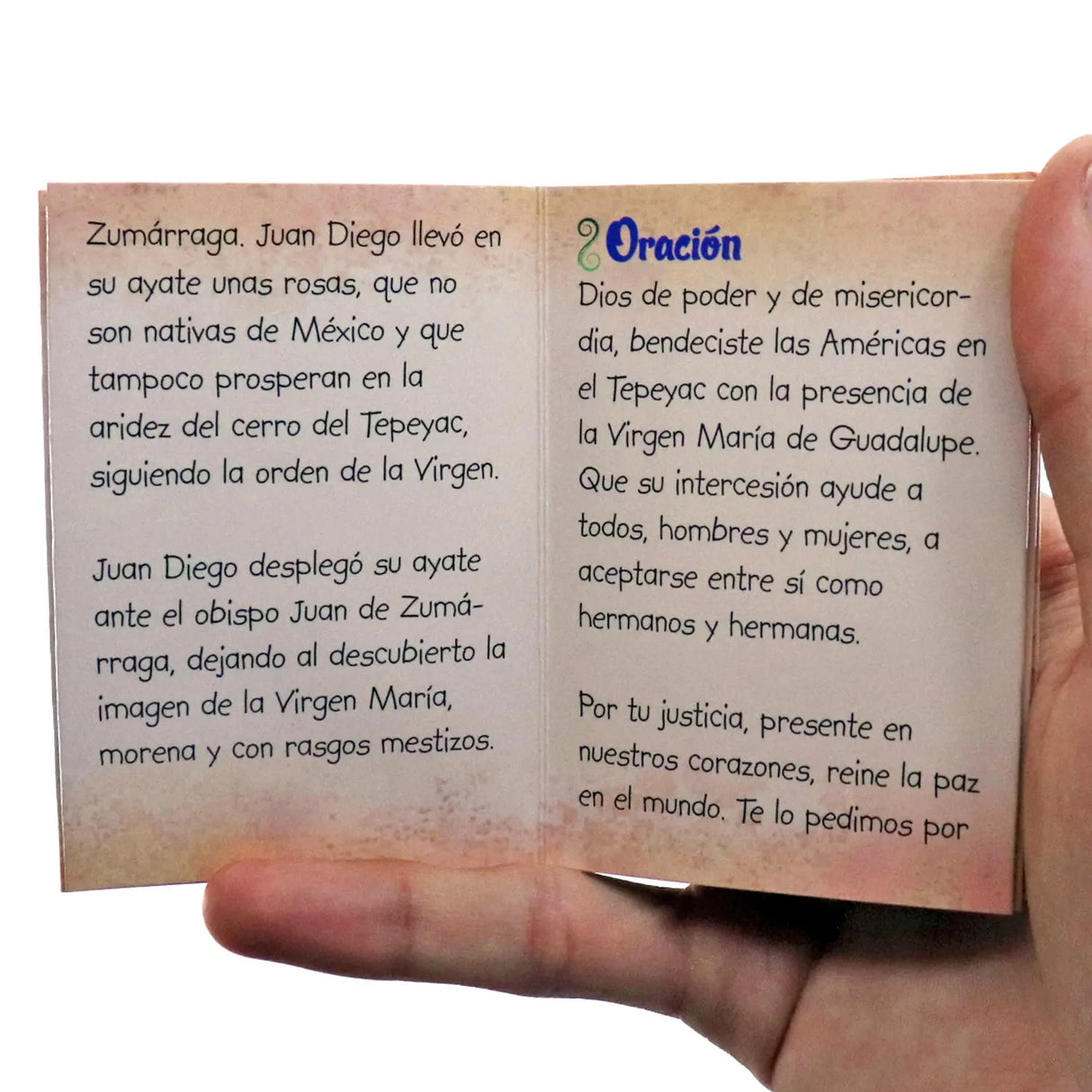 Minibook - Our Lady of Guadalupe