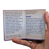 Minibook - Saint Benedict