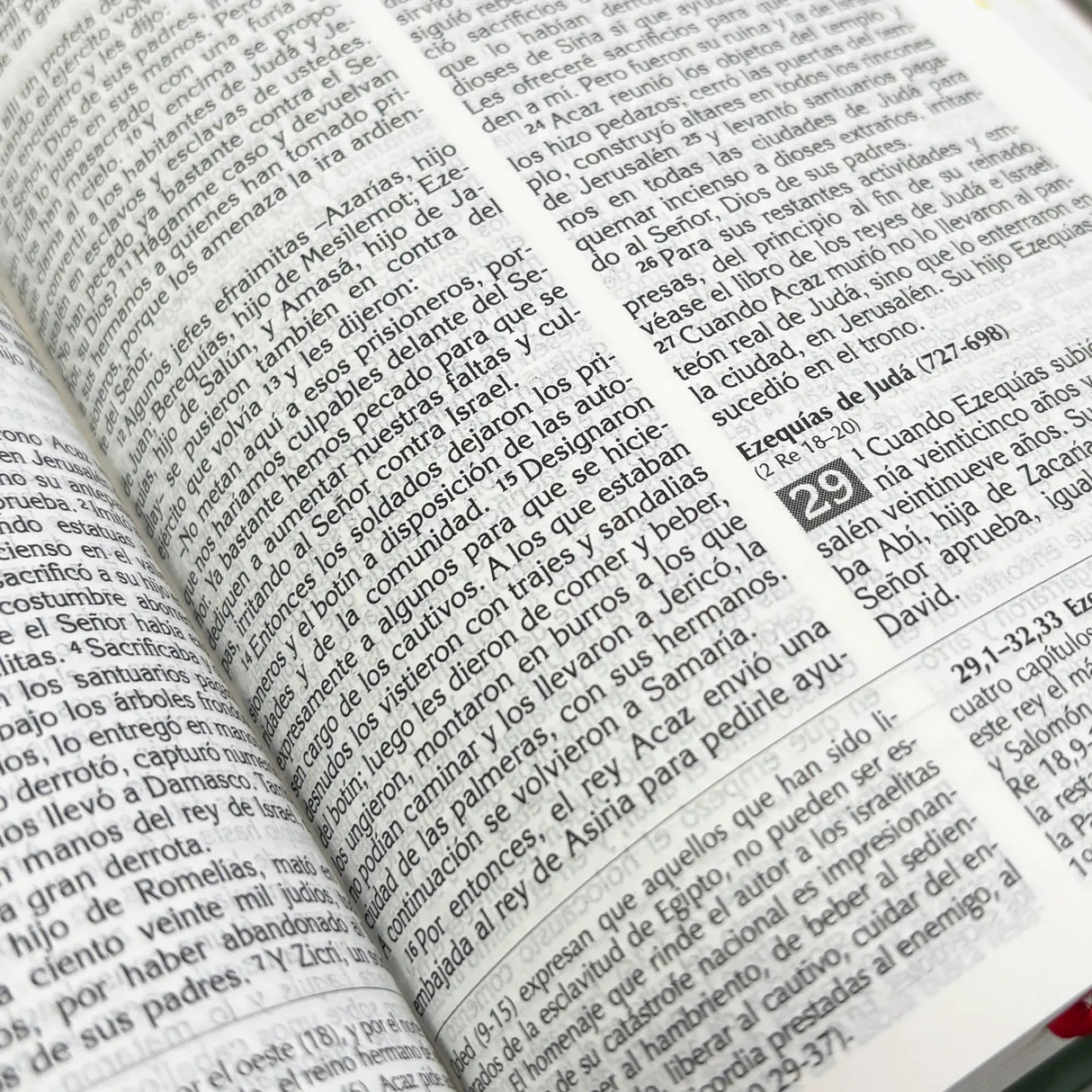 Our small town's Bible
