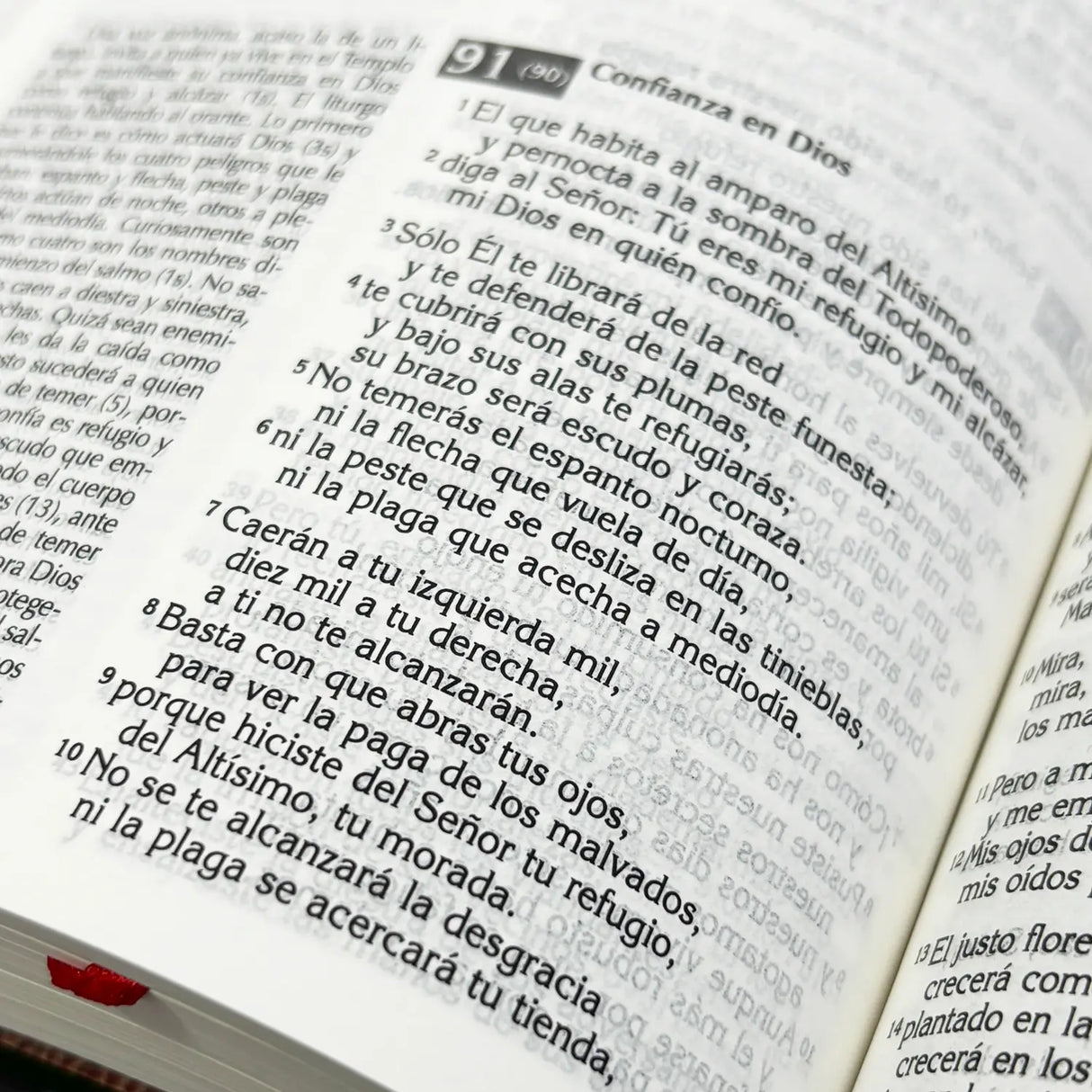 Our small town's Bible