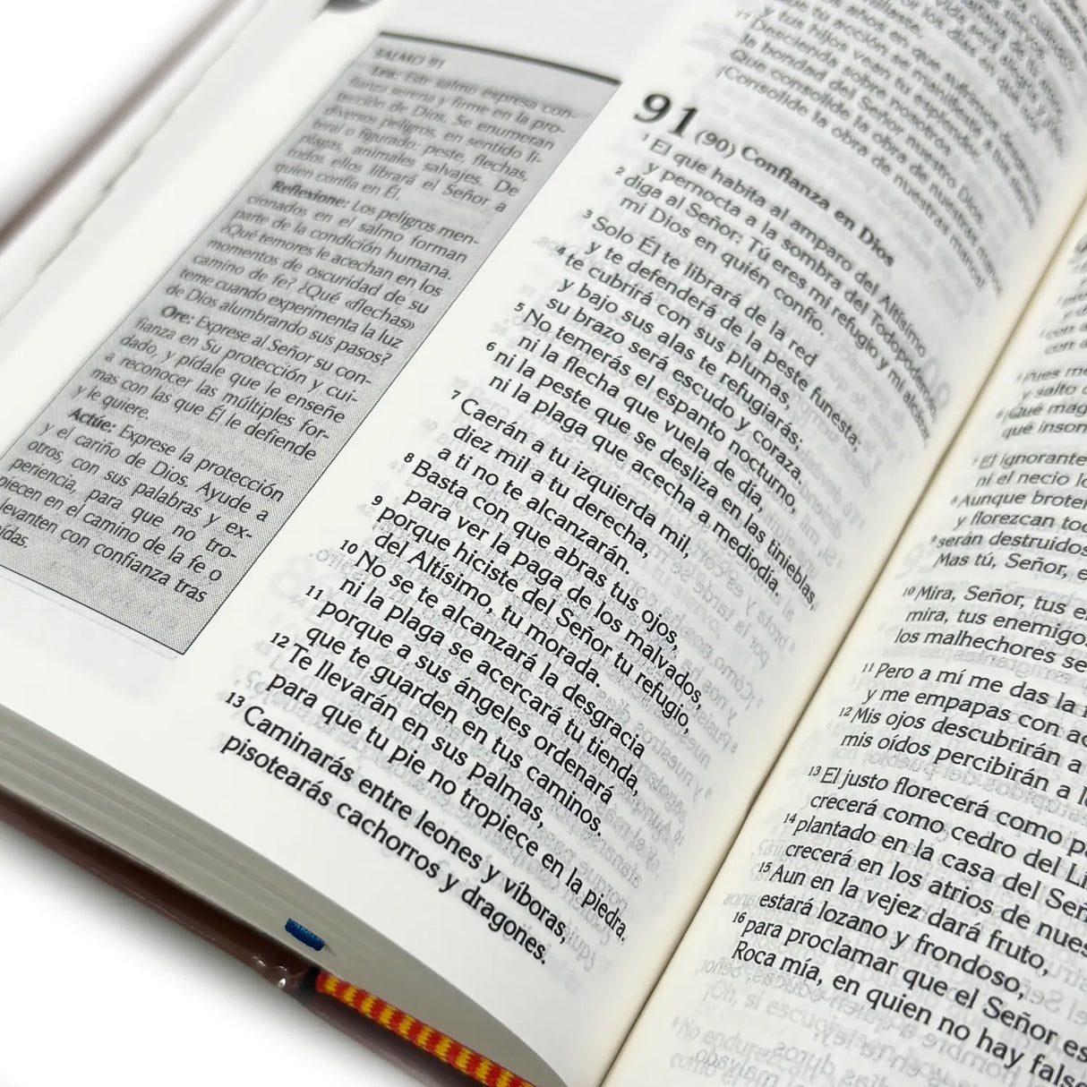 The Bible of our people with Lectio Divina 