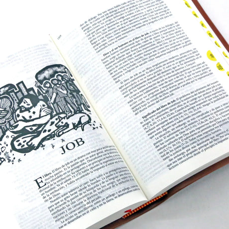 La Biblia de Nuestro Pueblo - América Latina Popular Piel Marrón