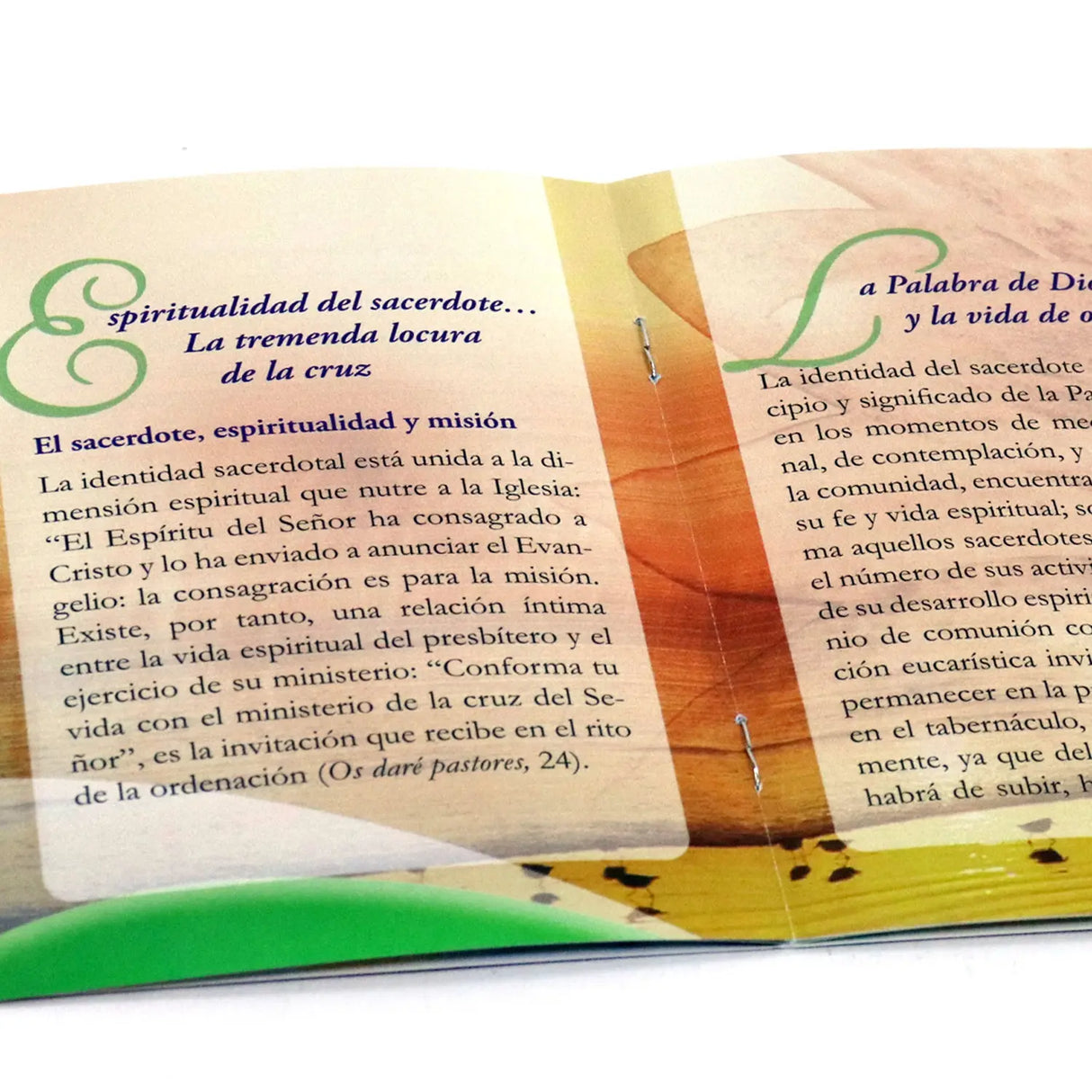 Para tí, Pastor