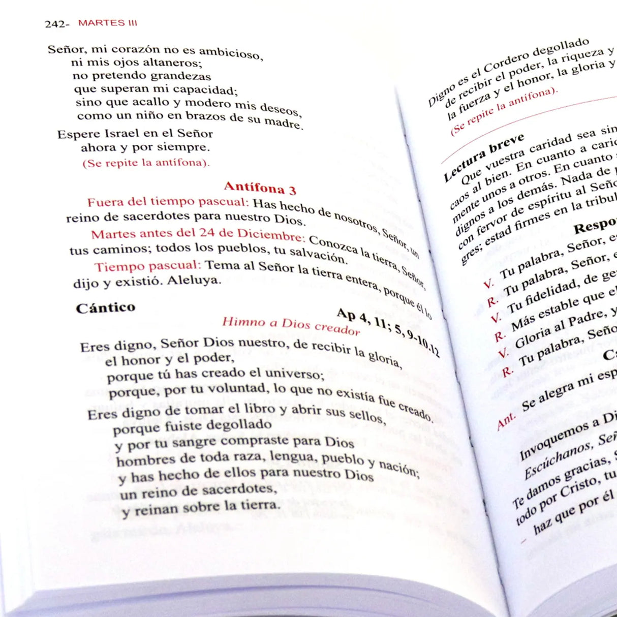 Liturgy of the Hours for the Faithful - Lauds, Vespers and Compline 