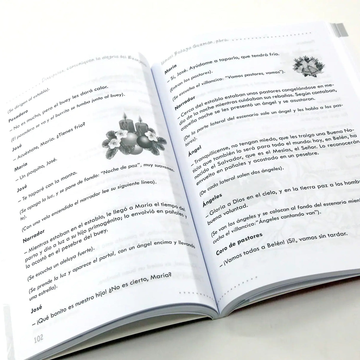 Disciples, communicate the joy of the Gospel - catechist's guide 