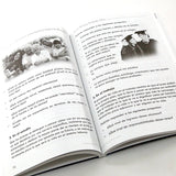 Missionaries, communicate the joy of the Gospel - Text from the catechist