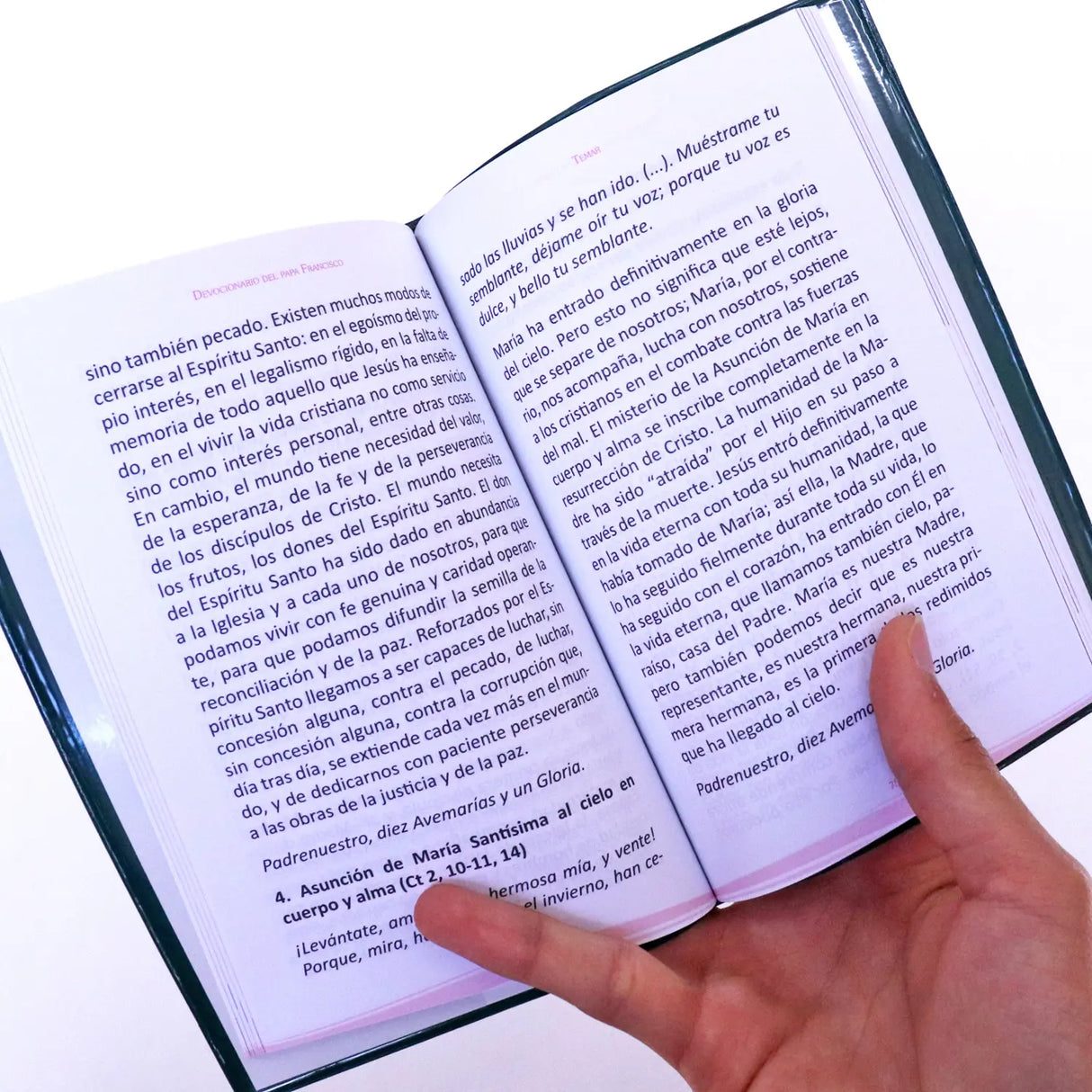 Pope Francis devotional