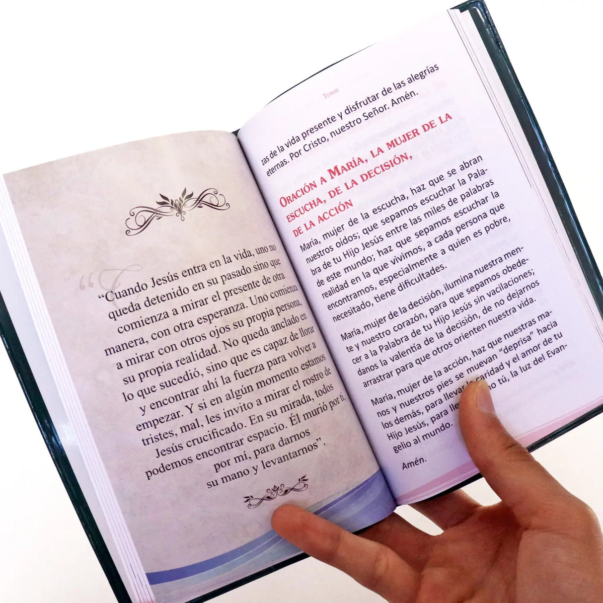 Pope Francis devotional