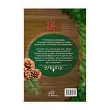 Adviento - Preparándonos para la Navidad