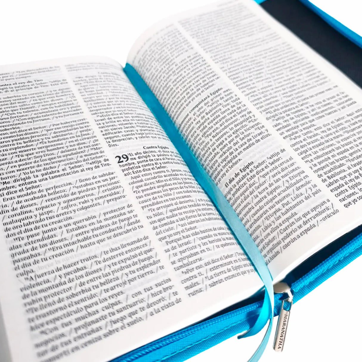 La Biblia de Nuestro Pueblo - Rústica con estuche en cuerina
