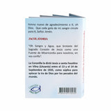 Minilibro - La coronilla de la Divina Misericordia | Librería Paulinas