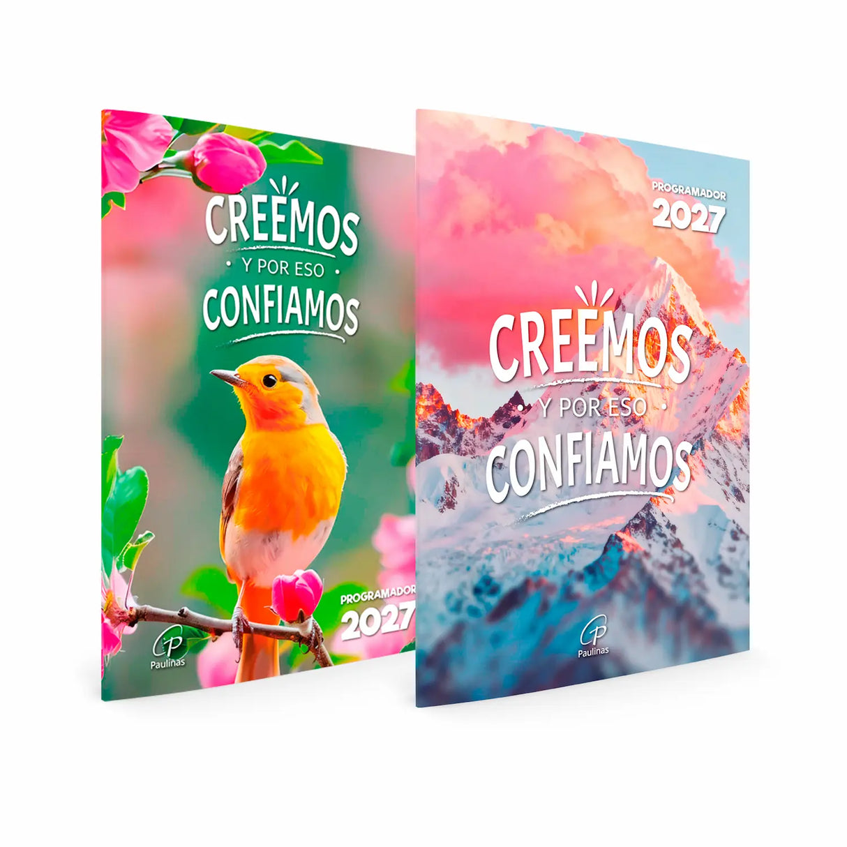 Programador Creemos y por eso confiamos -  2027