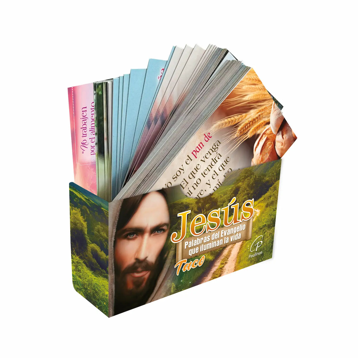 Taco Jesús - Palabras del Evangelio que iluminan la vida