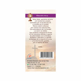 Plegable - Visita a los Monumentos